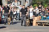 ARRESTATION POLICE 049